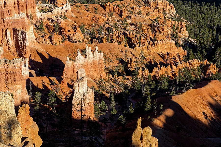 Light and Shadow on The Hoodoos of Bryce Photograph by Andrew Pacheco