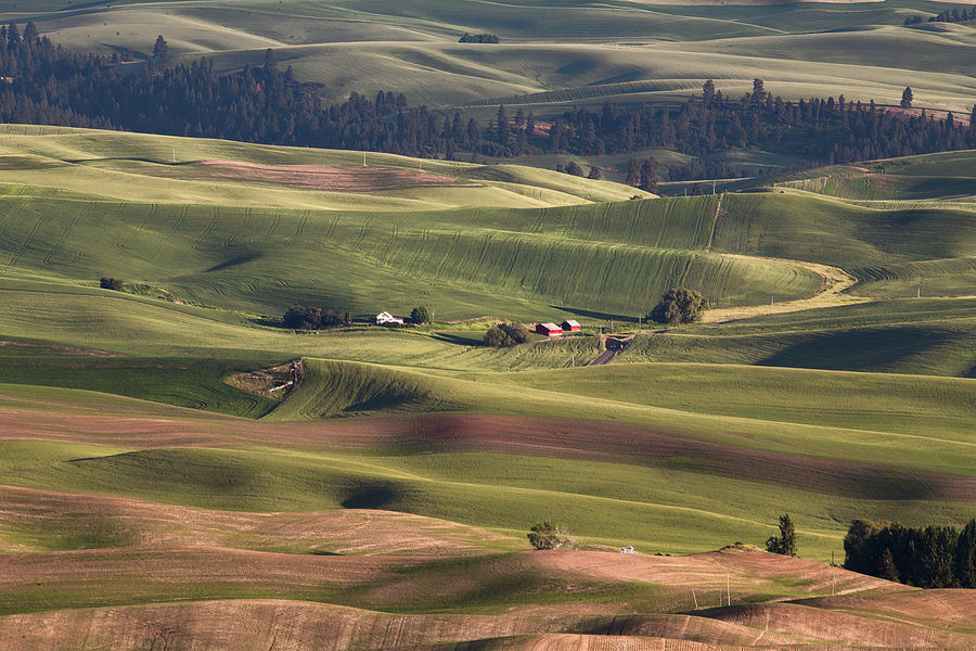 Light and Shadows of Dusk at Steptoe Butte  Photograph by Marcy Wielfaert