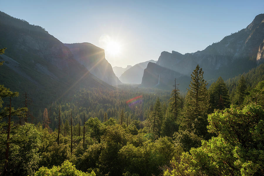 Light and Shadows Yosemite Valley #3 Photograph by Joseph S Giacalone