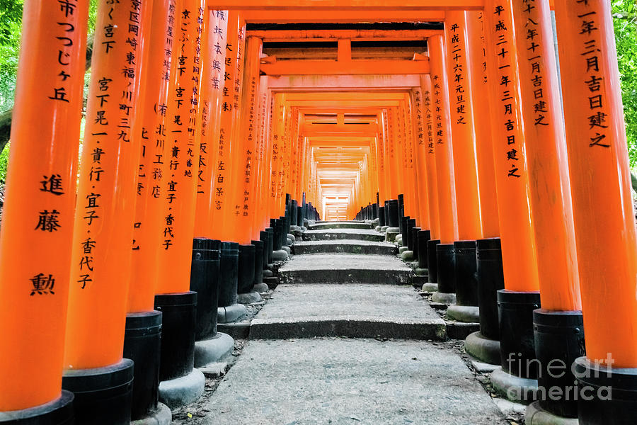 Light At The End Of The Tunnel Senbon Torii Kyoto 2 Photograph By Lyl Dil Creations