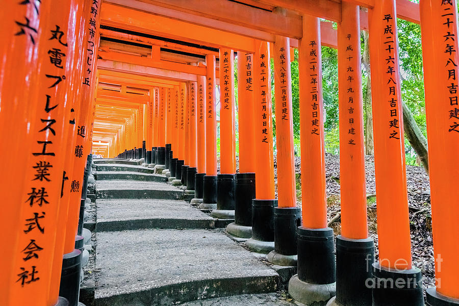Light at the end of the tunnel, Senbon Torii, Kyoto #3 Photograph by Lyl Dil Creations