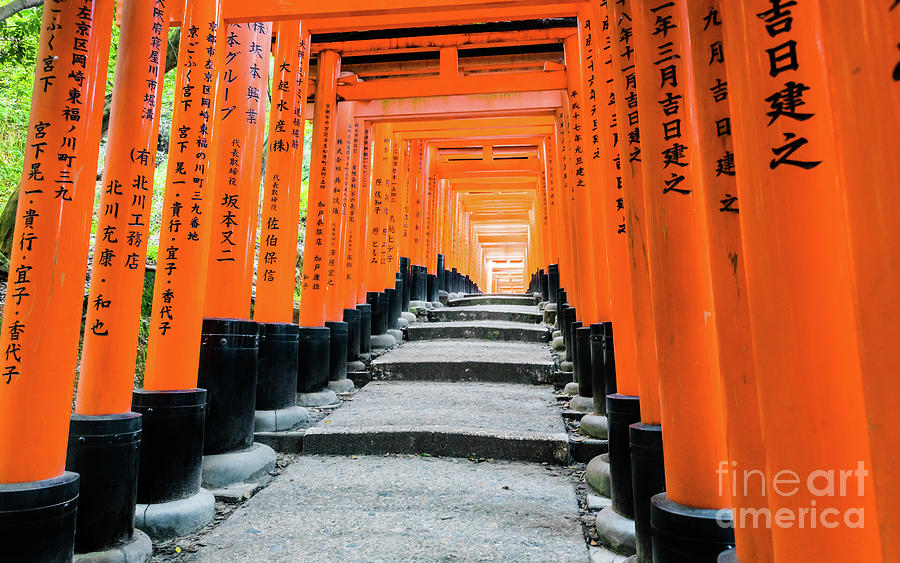 Light at the end of the tunnel, Senbon Torii, Kyoto Photograph by Lyl Dil Creations