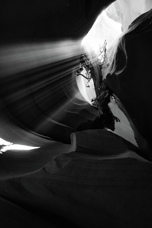Light Beams And Canyon Shadows - Black and White Photograph by Gregory Ballos