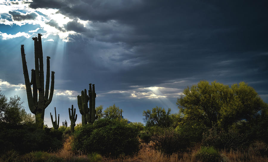 Light Beams Of Hope Photograph by Saija Lehtonen - Fine Art America