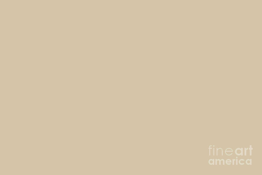 Light Beige - Soft Tan - Pastel Solid Color Parable to Behr Plateau PPU4-08  Digital Art by PIPA Fine Art - Simply Solid - Pixels