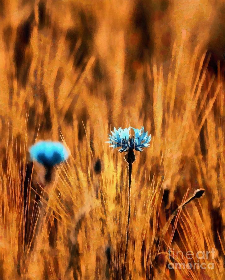 Light Blue Wildflowers Digital Art by Yorgos Daskalakis