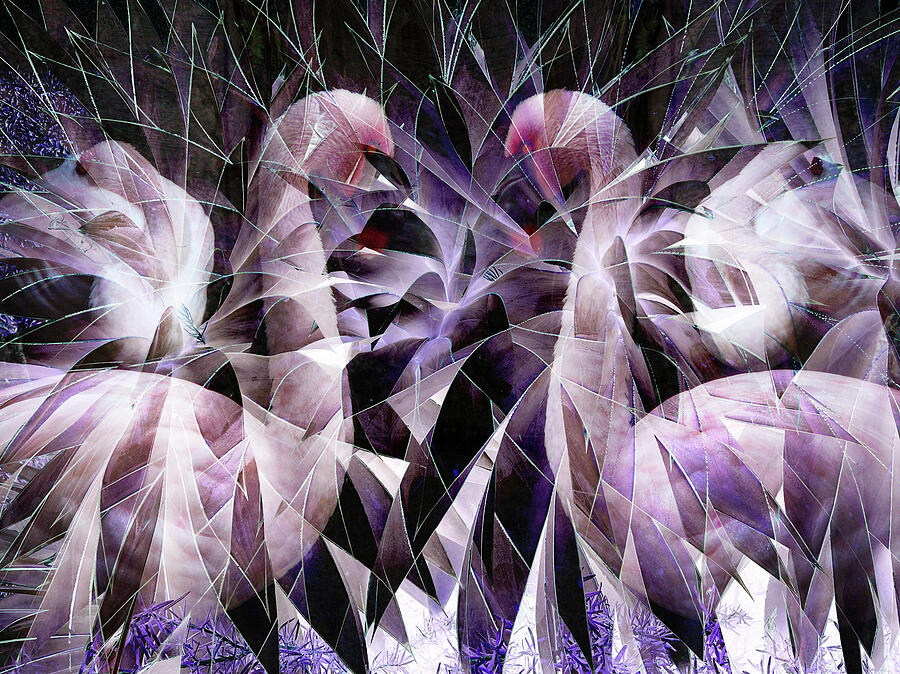 Bird Digital Art - Light Breaks Like Feathers by Amy Stone