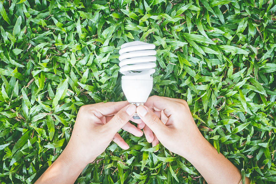 Light bulb in hand with energy saving eco lamp Photograph by Arto_canon