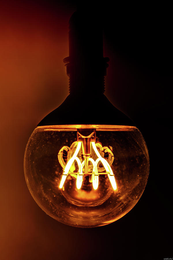 Light Bulb Photograph by Weston Westmoreland