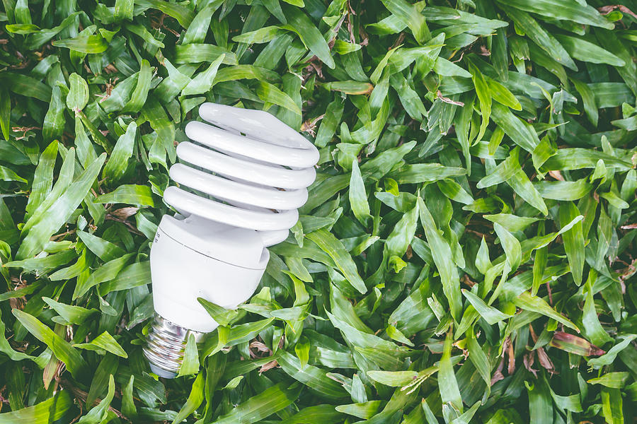 Light bulb with energy saving eco lamp Photograph by Arto_canon