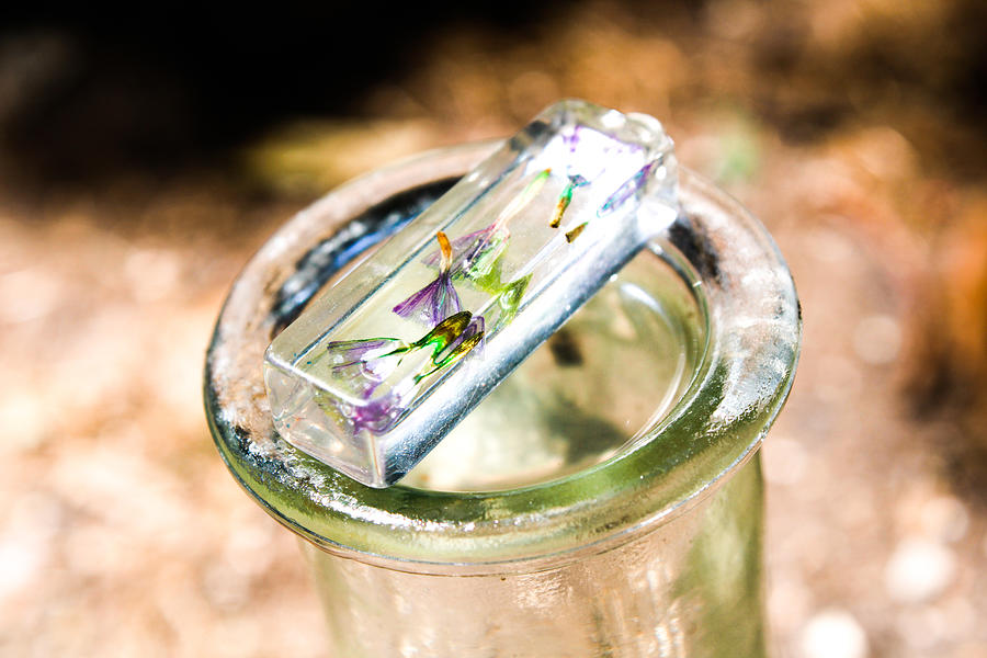 Light Catcher, Glass Vase Photograph by W Craig Photography