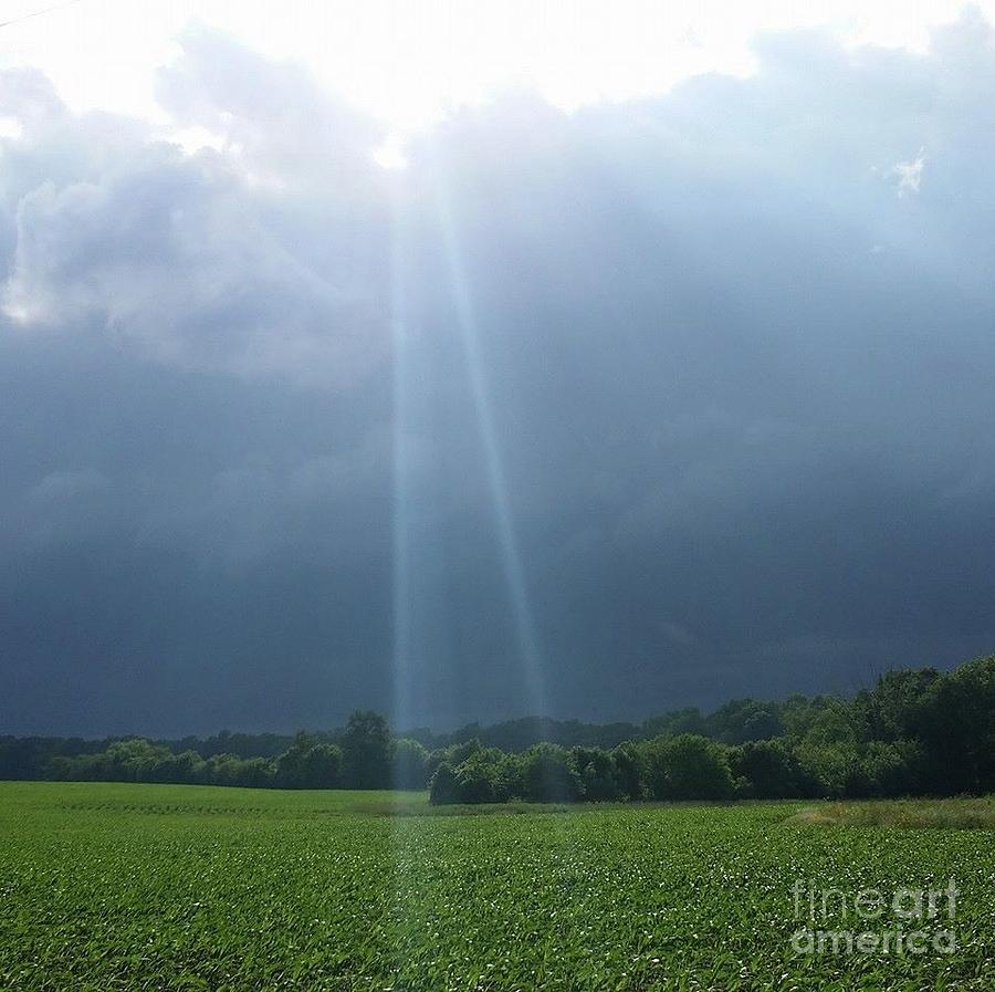 Nature Photograph - Light from Above by Shelly Crutchley
