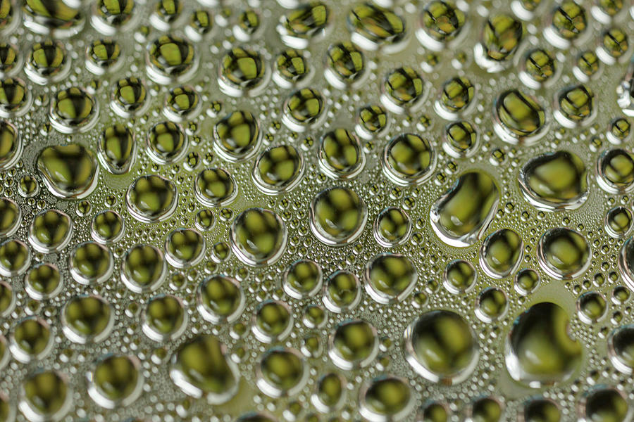 Light green yellow water droplets Photograph by Iris Richardson