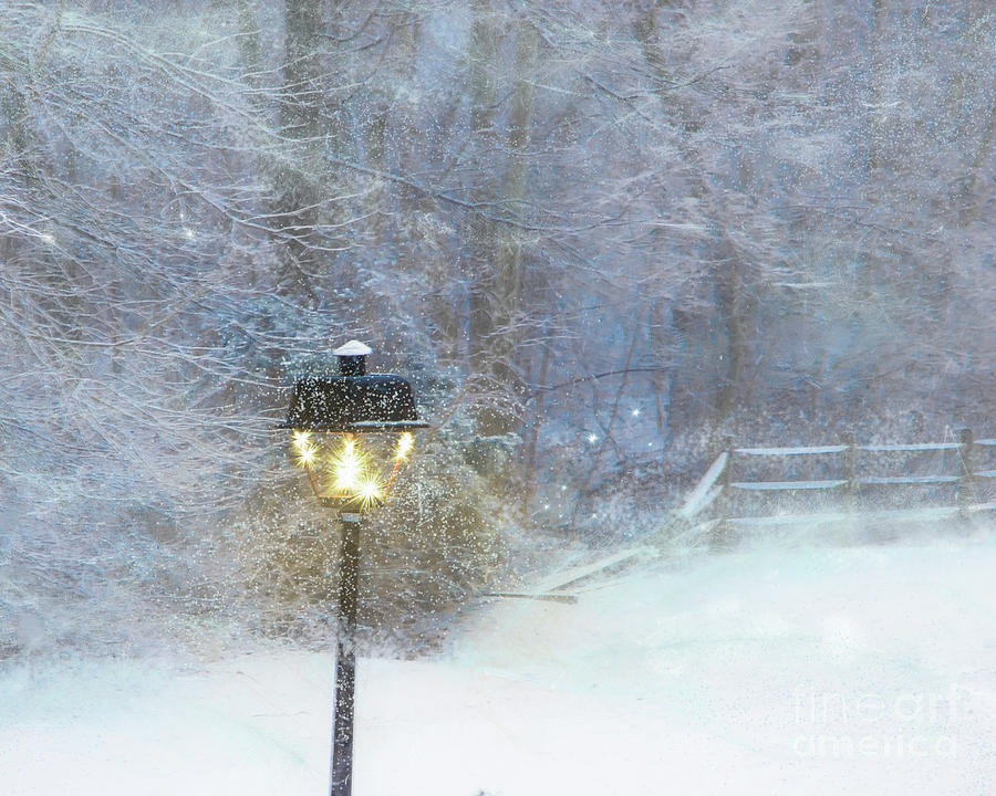 Light in snow Photograph by Agnes Caruso