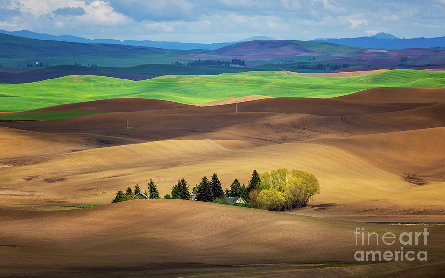 Light in the Palouse Photograph by Mimi Ditchie