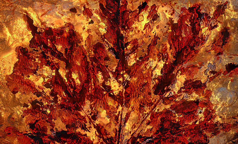 Light Leaves - Icy Abstract 36 Mixed Media by Sami Tiainen
