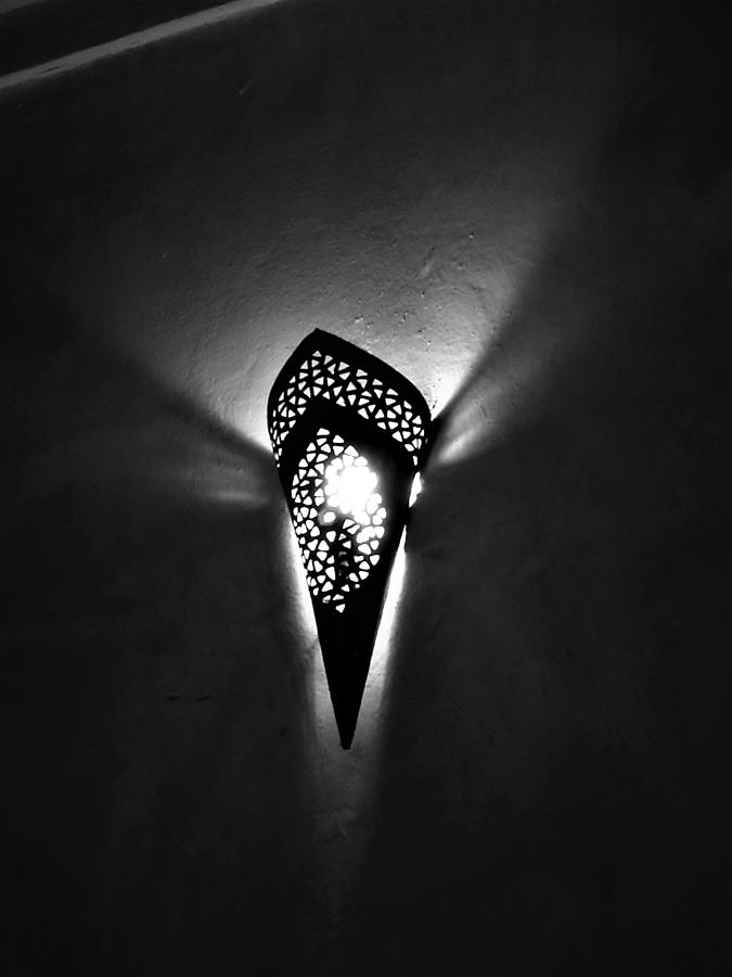 Light Moth Photograph by Jarek Filipowicz