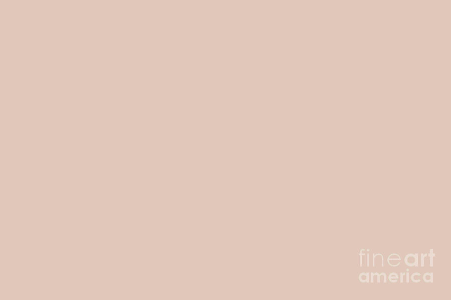 Light Muted Pastel Rose Pink Solid Color - Pairs With Behr Sand Dance S190-2  Digital Art by PIPA Fine Art - Simply Solid