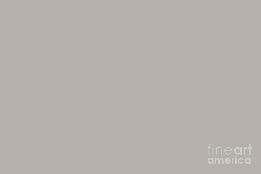 Light Neutral Taupe Solid Color Pairs To PPG 2021 Trending Hue Mercurial PPG1006-4 Digital Art by PIPA Fine Art - Simply Solid
