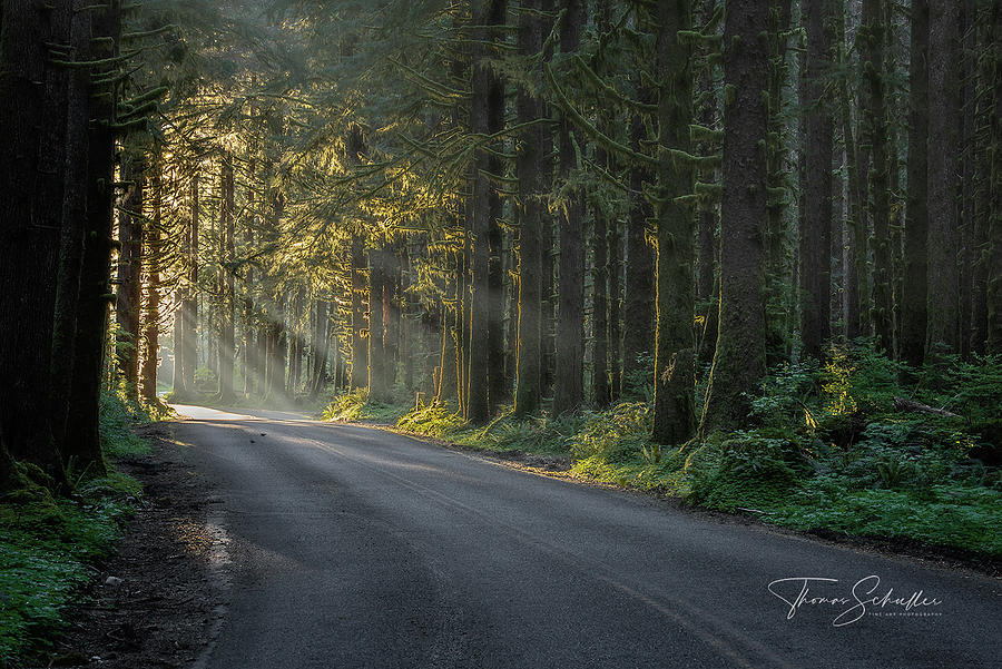 Light Of Passage Limited Edition PNW Fine Art Prints Photograph by