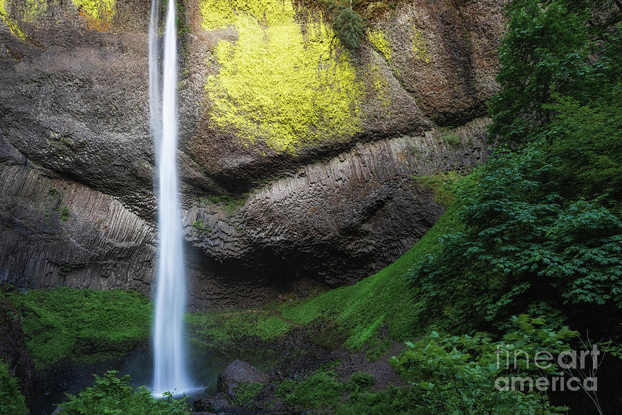 Waterfall Photograph - Light On Latourell Falls by Doug Sturgess