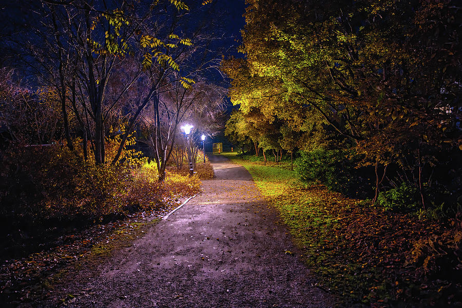Light on Pathway #k4 Photograph by Leif Sohlman