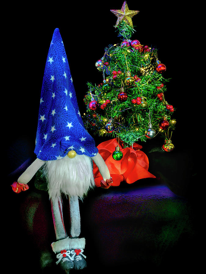 Light Painted Christmas Tree and Gnome Photograph by Rob Green