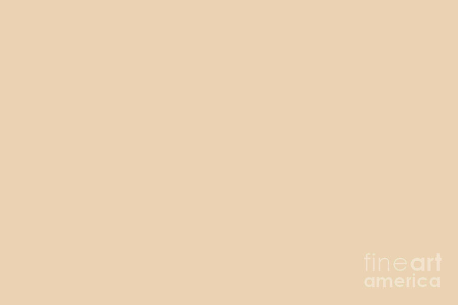 Light Pastel Peachy Pink Single Solid Color - Hue - Shade- Colour Pairs