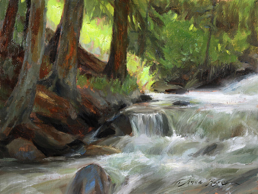Landscape Painting - Light Patch, Guanella Pass Stream by Anna Rose Bain