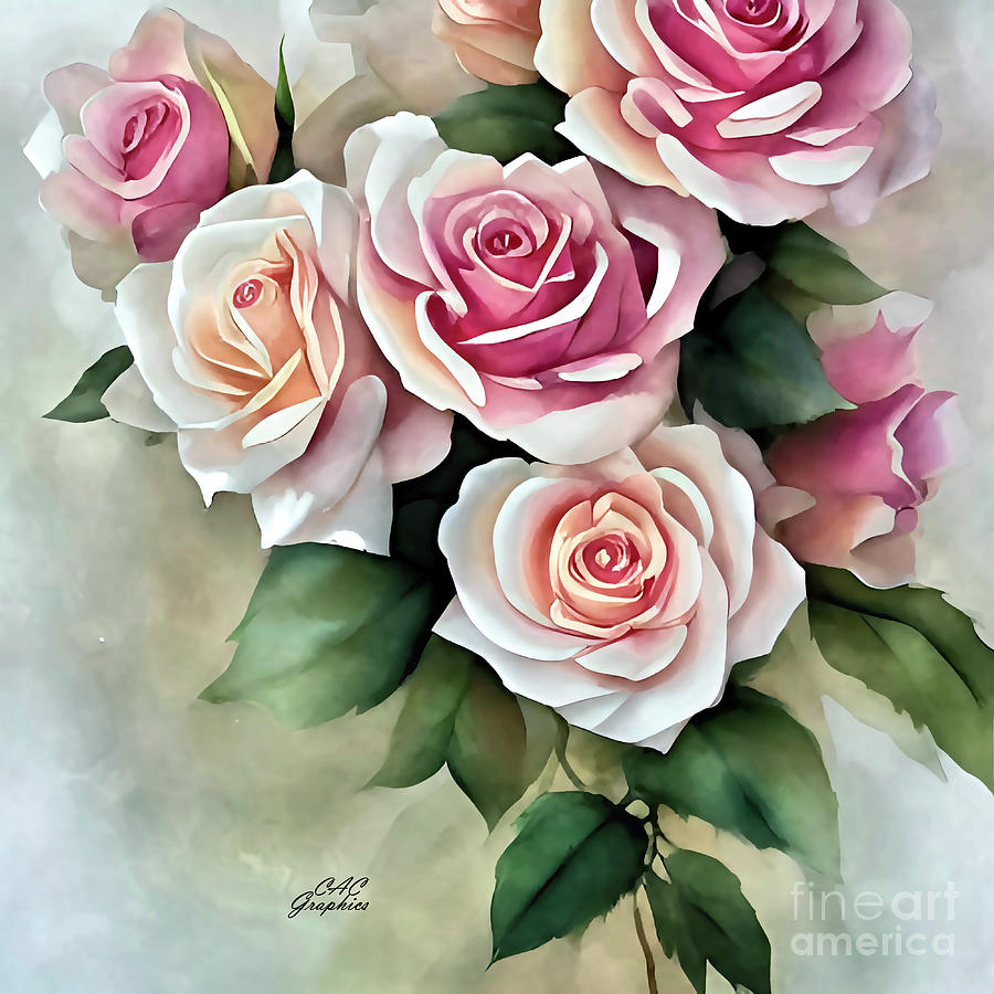 Light Peach and Pink Roses Painting by CAC Graphics