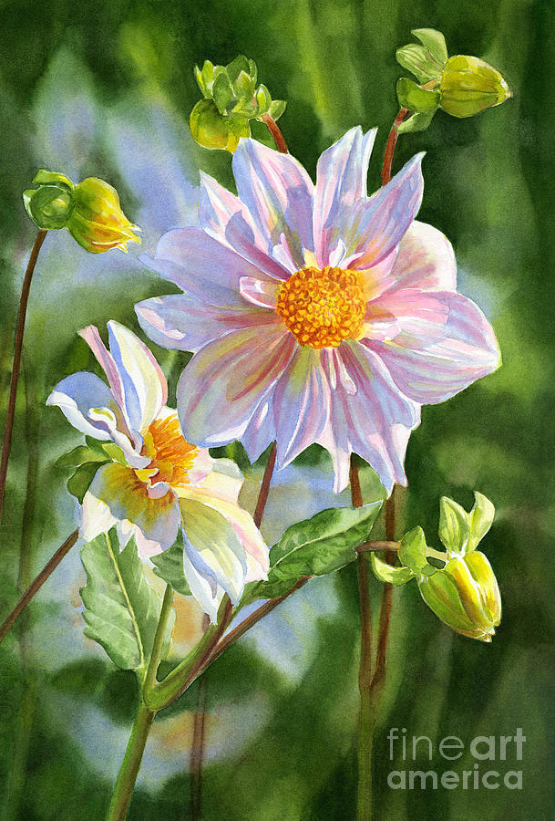 Light Pink Dahlia with Buds Painting by Sharon Freeman