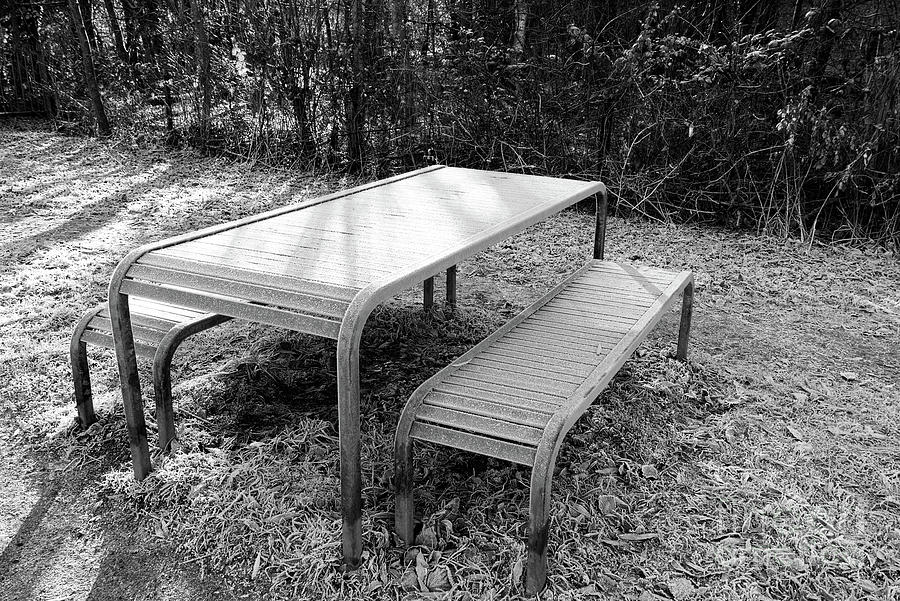 Light playing on a frosty picnic table and benches Photograph by Pics By Tony