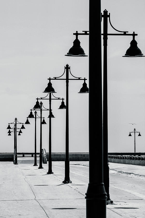 Light Poles Photograph by Denise Kopko