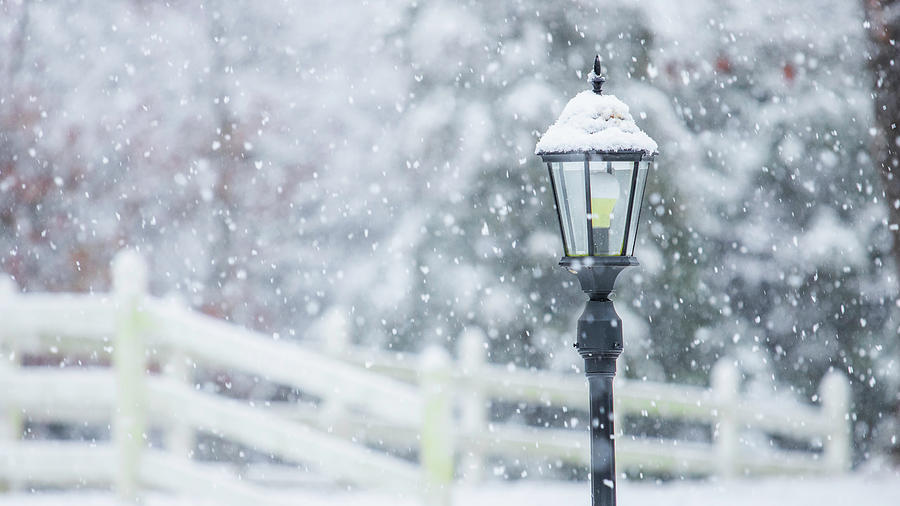 Light Post In Winter Photograph by Ester McGuire