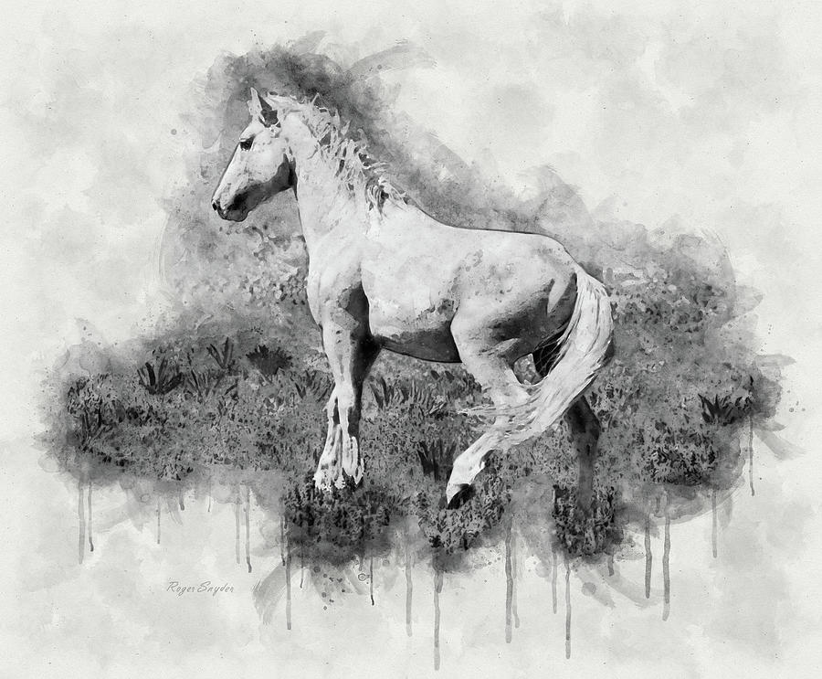 Light Pryor Mountain Mustang Painting by Roger Snyder