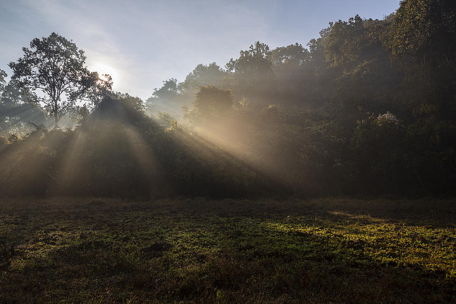 Light rays during sunrise in remote Odisha Photograph by Www.fischerfotografie.nl