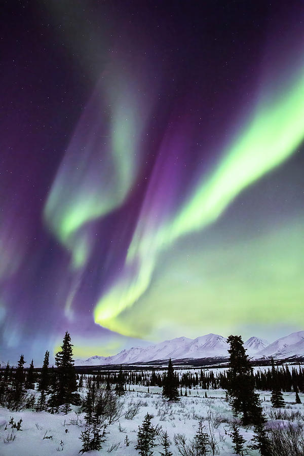 Light Show - Aurora Borealis at Alaska Range Photograph by Alex Mironyuk