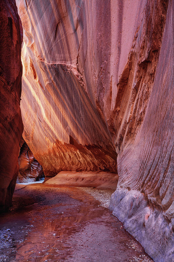 Light Show in the Slot Canyon Photograph by Alex Mironyuk