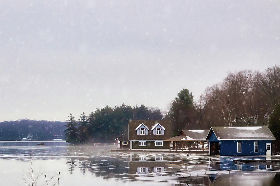 Light snow on the lake Photograph by Tatiana Travelways