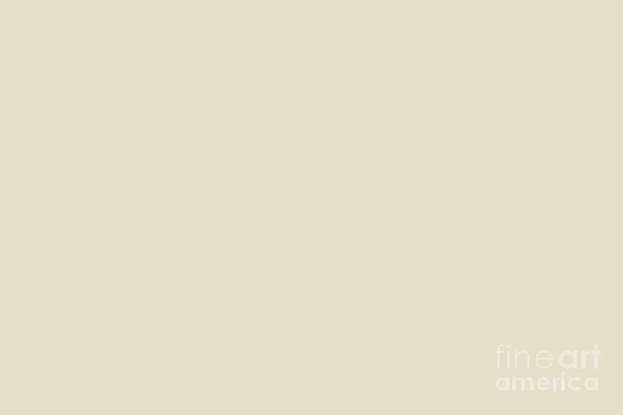 Light Stone Beige Solid Color Pairs 011W Antique White - 2024 Trending Shade Hue Digital Art by Simply Solids