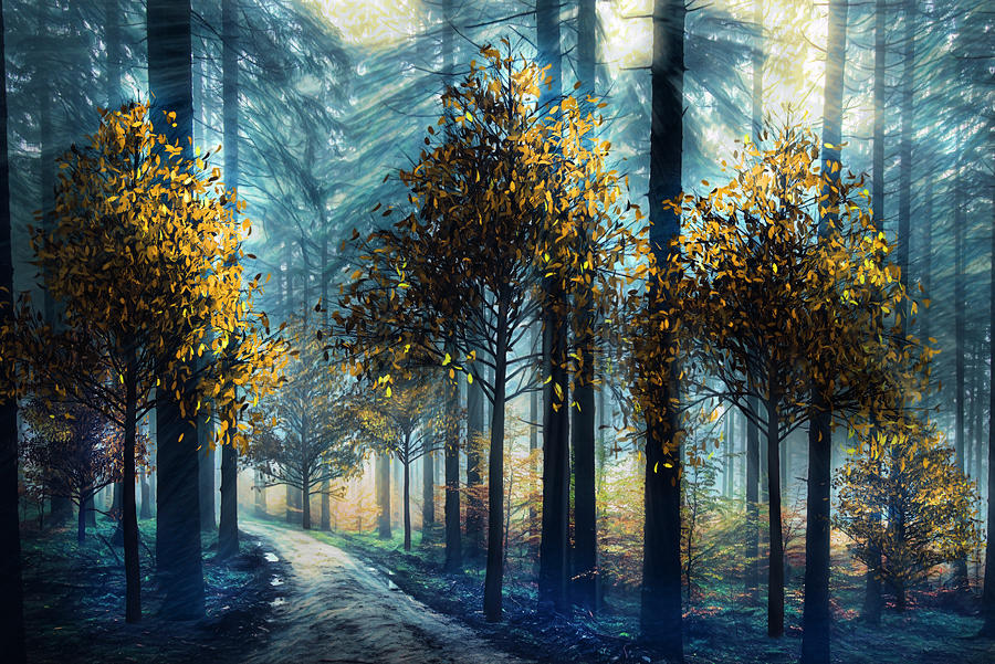 Light Through the Trees at a Blue Dawn Digital Art by Debra and Dave Vanderlaan