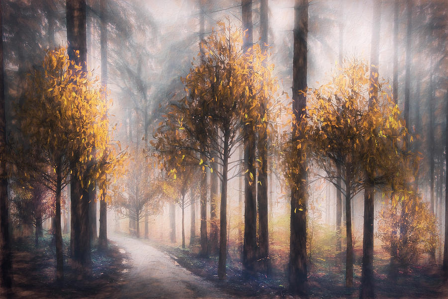 Light Through the Trees at Dawn Painting Digital Art by Debra and Dave Vanderlaan