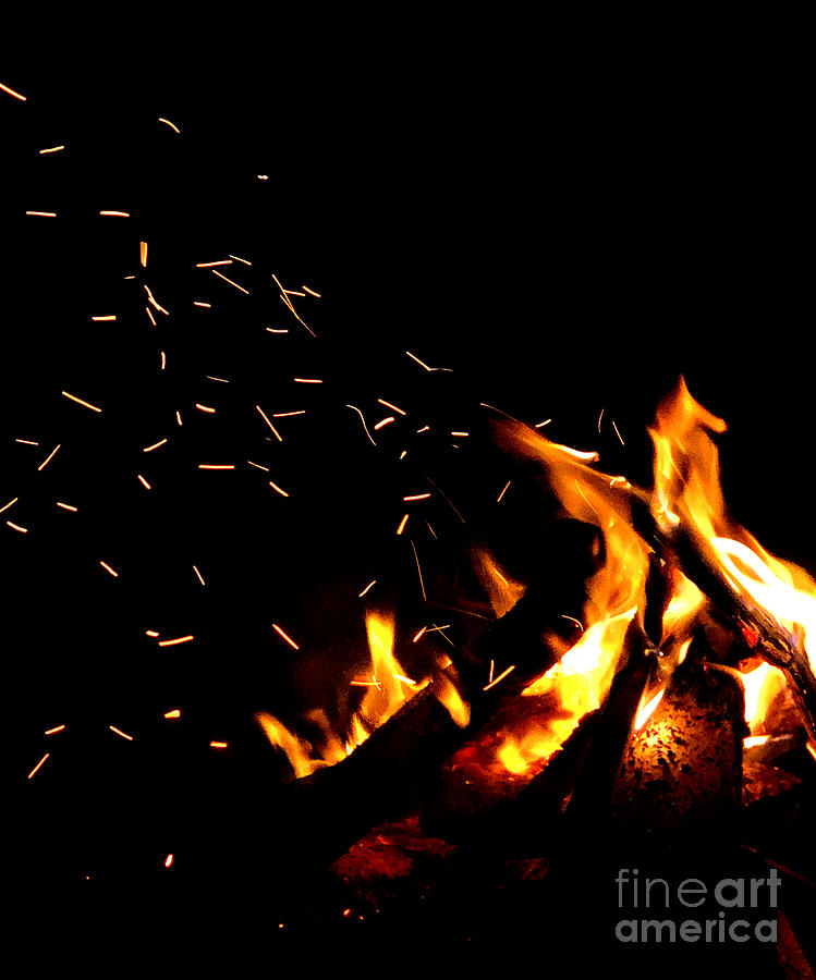 Blaze On Photograph by Frances Ferland