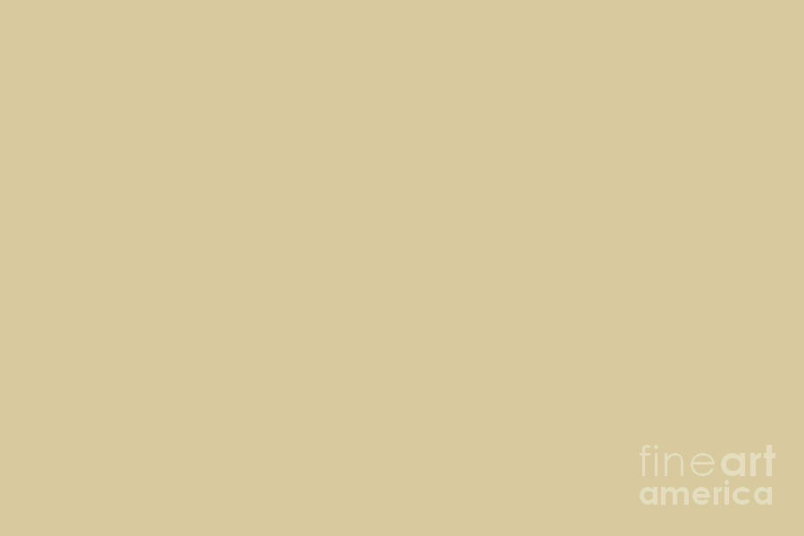 Light Yellow Brown Beige Solid Color Behr 2021 Color of the Year Accent Shade Crepe PPU7-19 Digital Art by PIPA Fine Art - Simply Solid