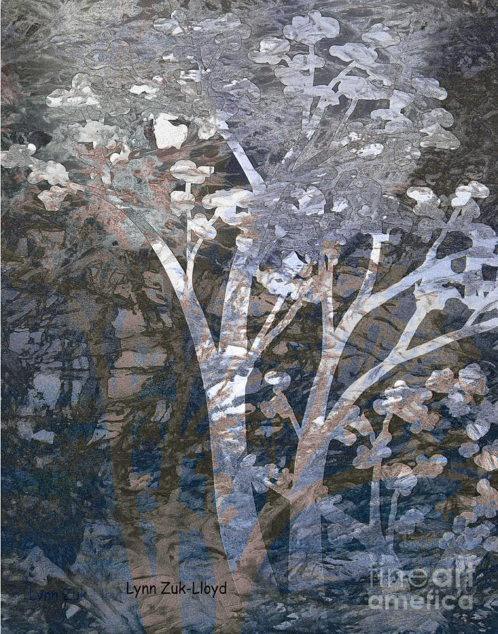Trees Digital Art - Lighted Tree in Forest by Lynn Zuk-Lloyd Trees Digital Art - Lighted Tree in Forest by Lynn Zuk-Lloyd