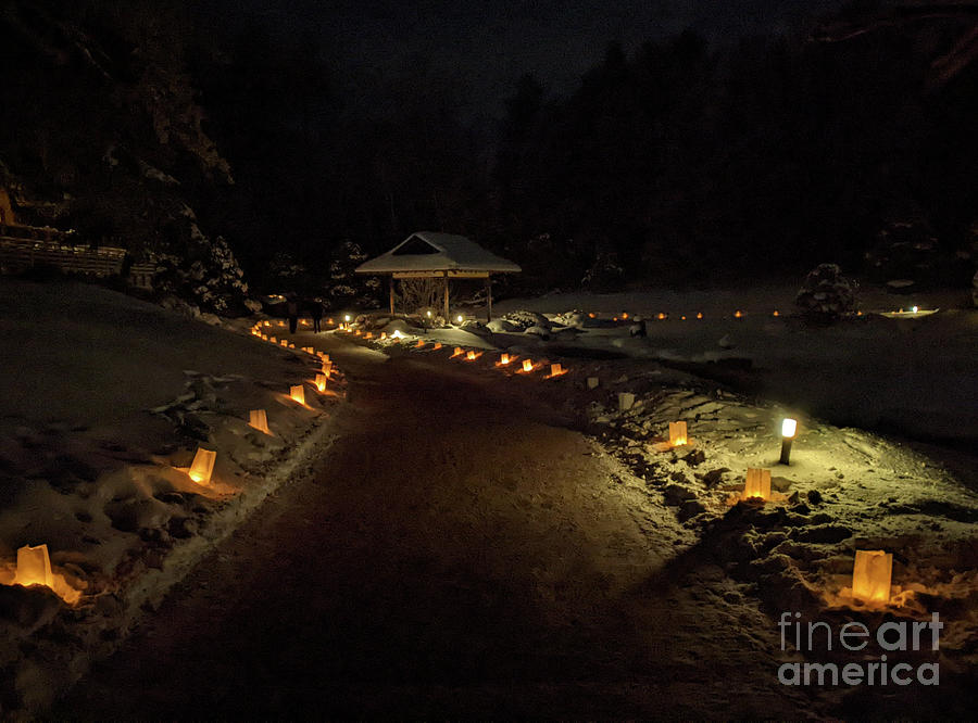 Lighted walkway Photograph by Lisa Mutch