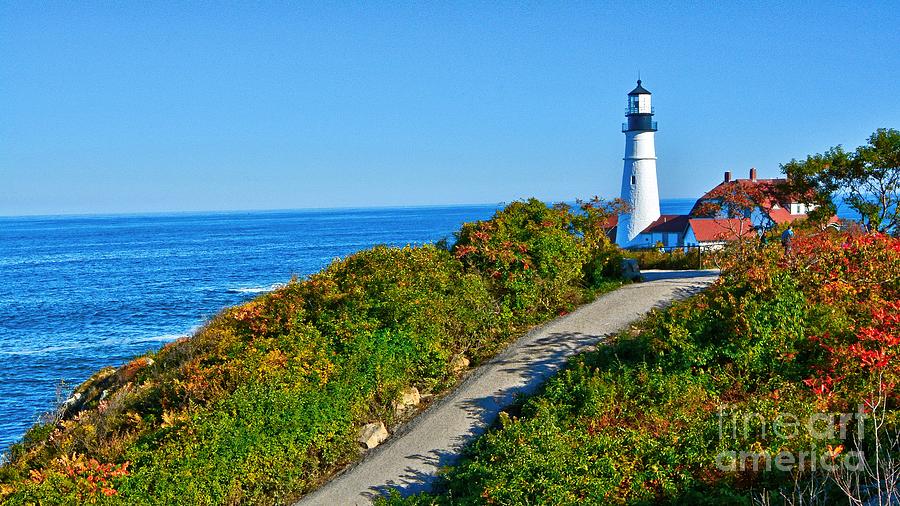 Lighthouse at Fort Williams Park Photograph by Steve Brown