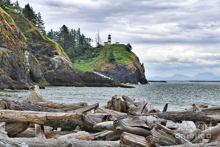 Lighthouse Cliff with Driftwood Beach Photograph by Carol Groenen