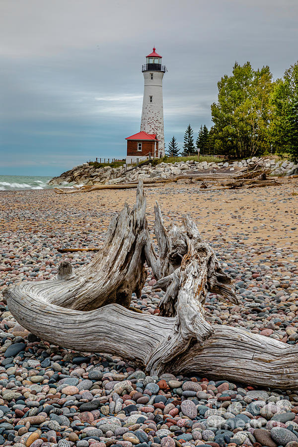 Lighthouse Crisp Point Driftwood -0290 Photograph by Norris Seward