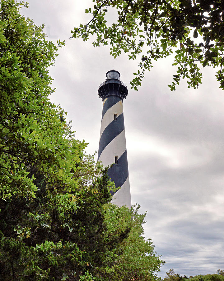 Lighthouse in the Trees at Cape Hatteras Photograph by Bill Swartwout